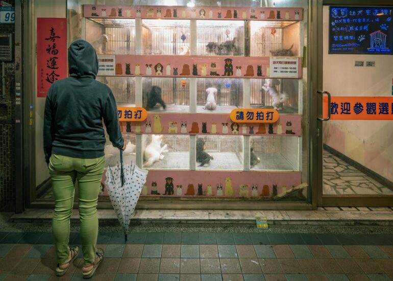 Taiwan